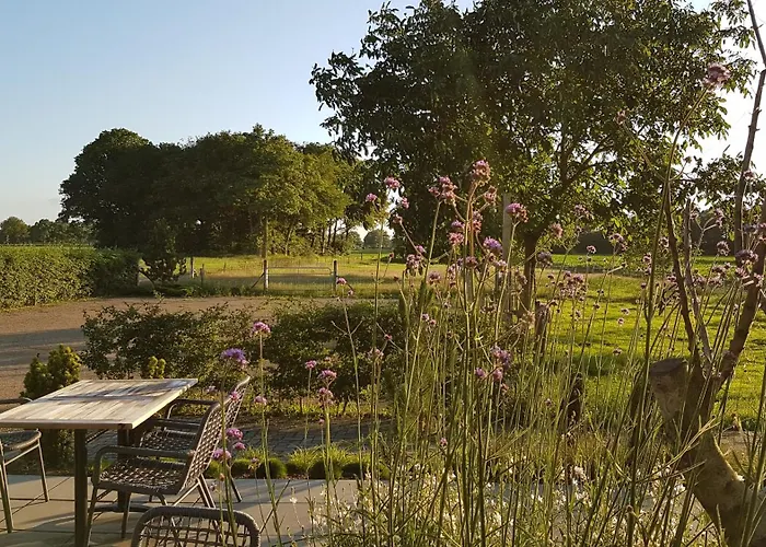 Bed and breakfast Gebakhuus Kring van Dorth