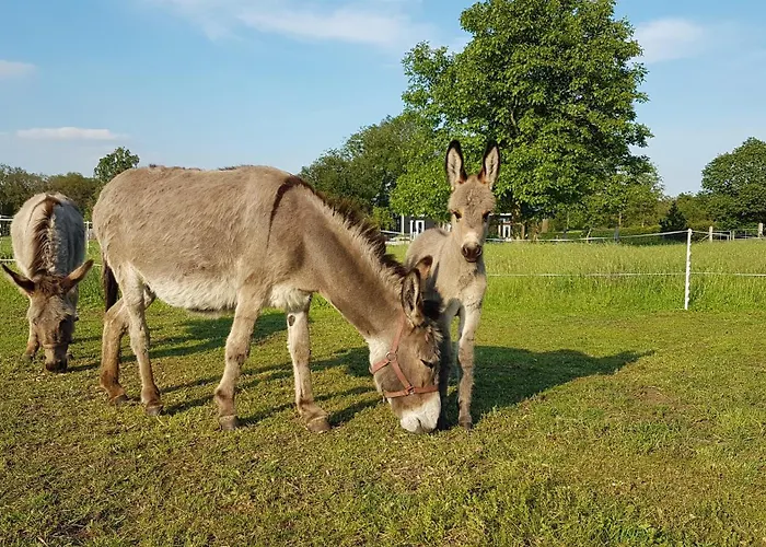 Bed and breakfast Gebakhuus