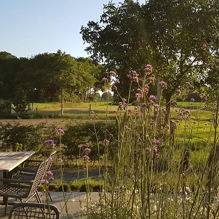 Bed & Breakfast Gebakhuus Kring van Dorth